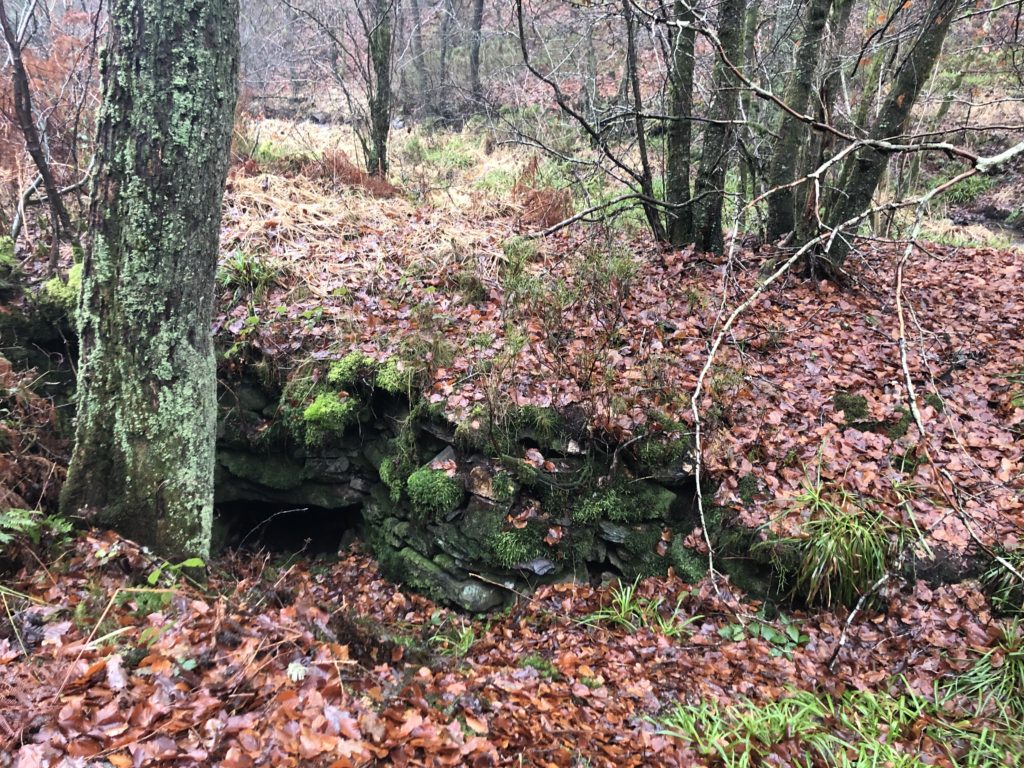 La nature